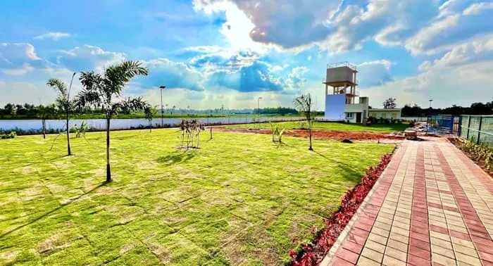 Property view 8