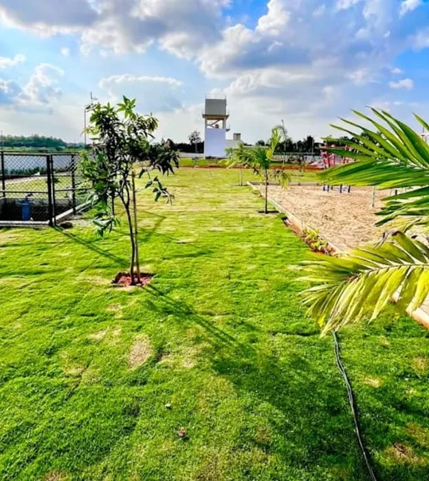 Property view 7