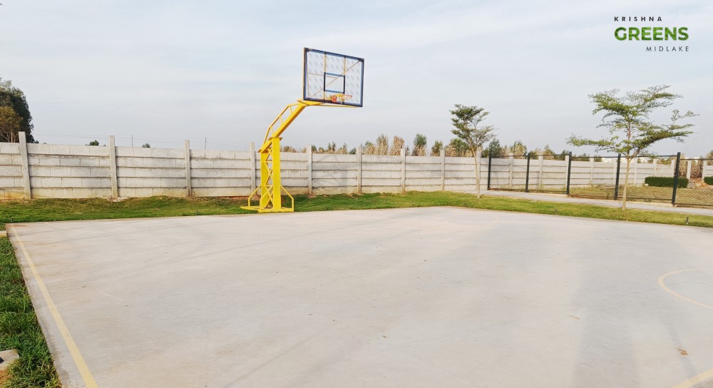Property view 9