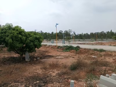 Property view 2