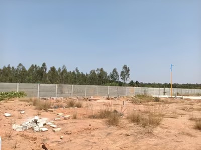 Property view 8