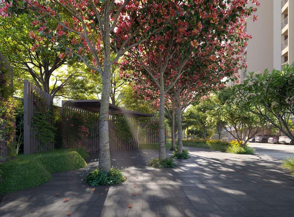 Property view 8