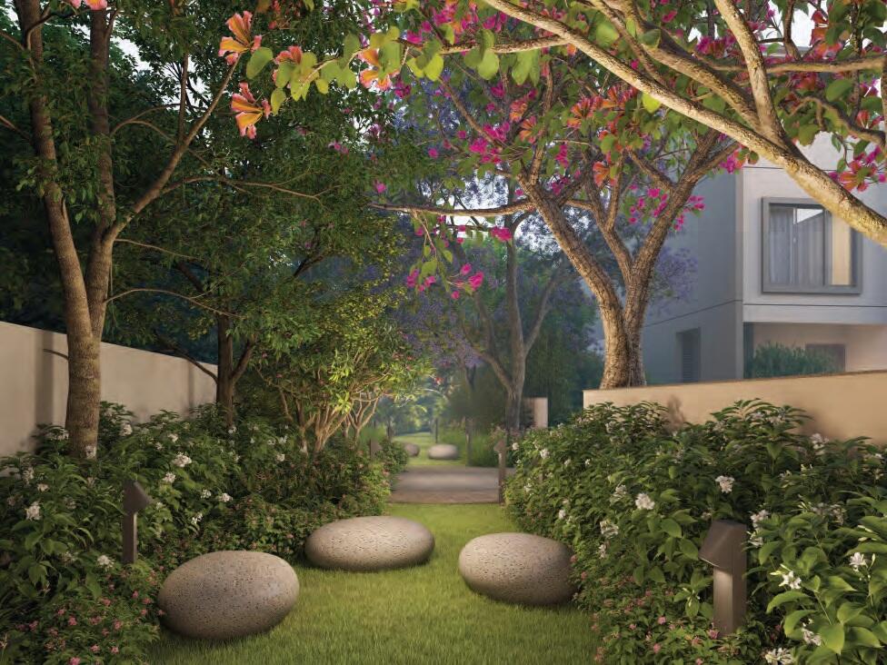 Property view 13
