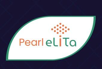 Pearl Elita, Vengaivasal Medavakkam – view 2