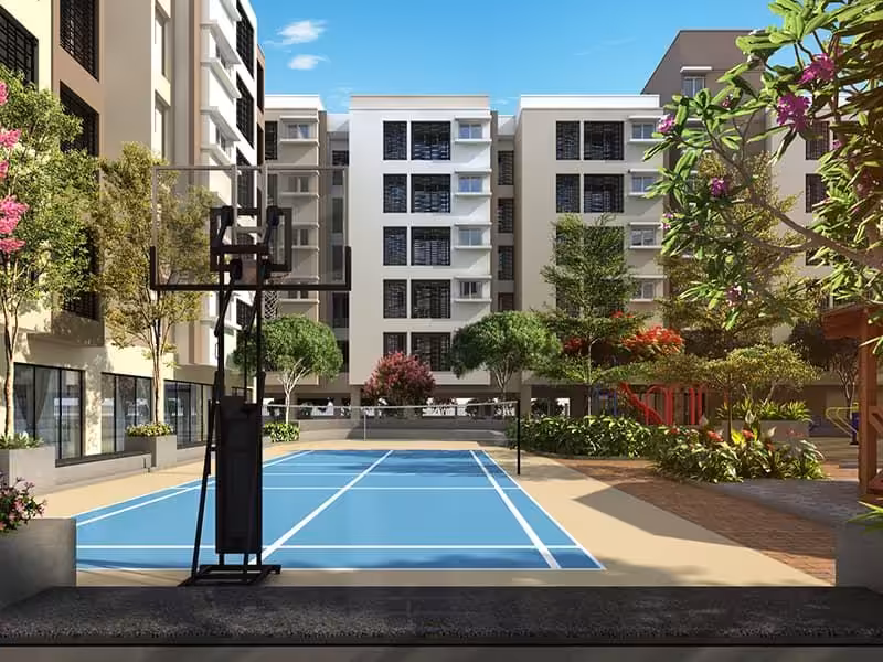 Gemini Aster, Polachery – view 7