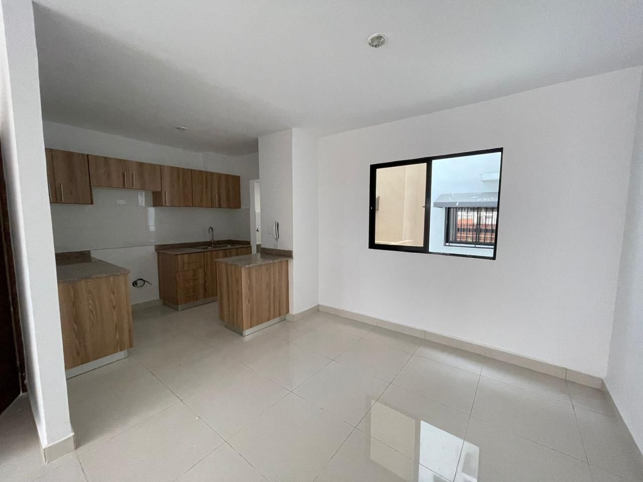 Corales del caribe 2