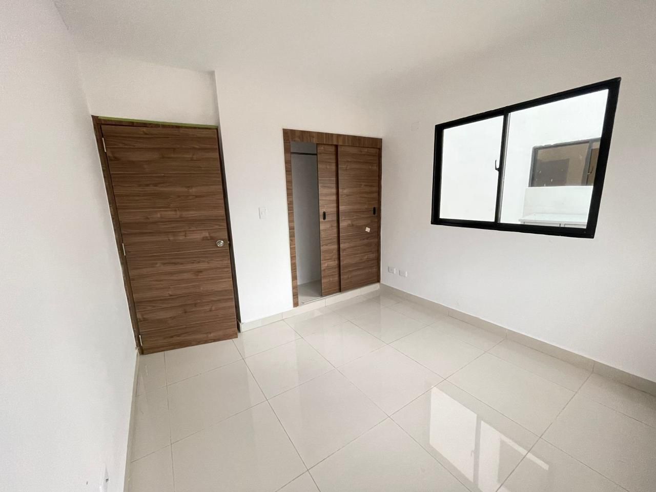 Corales del caribe 4