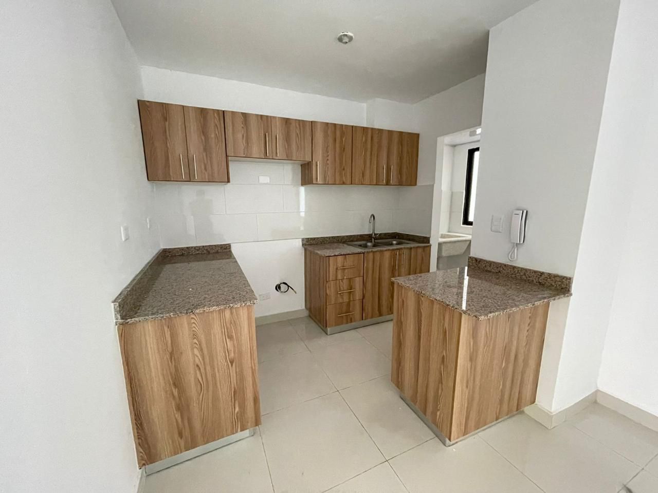 Corales del caribe 1