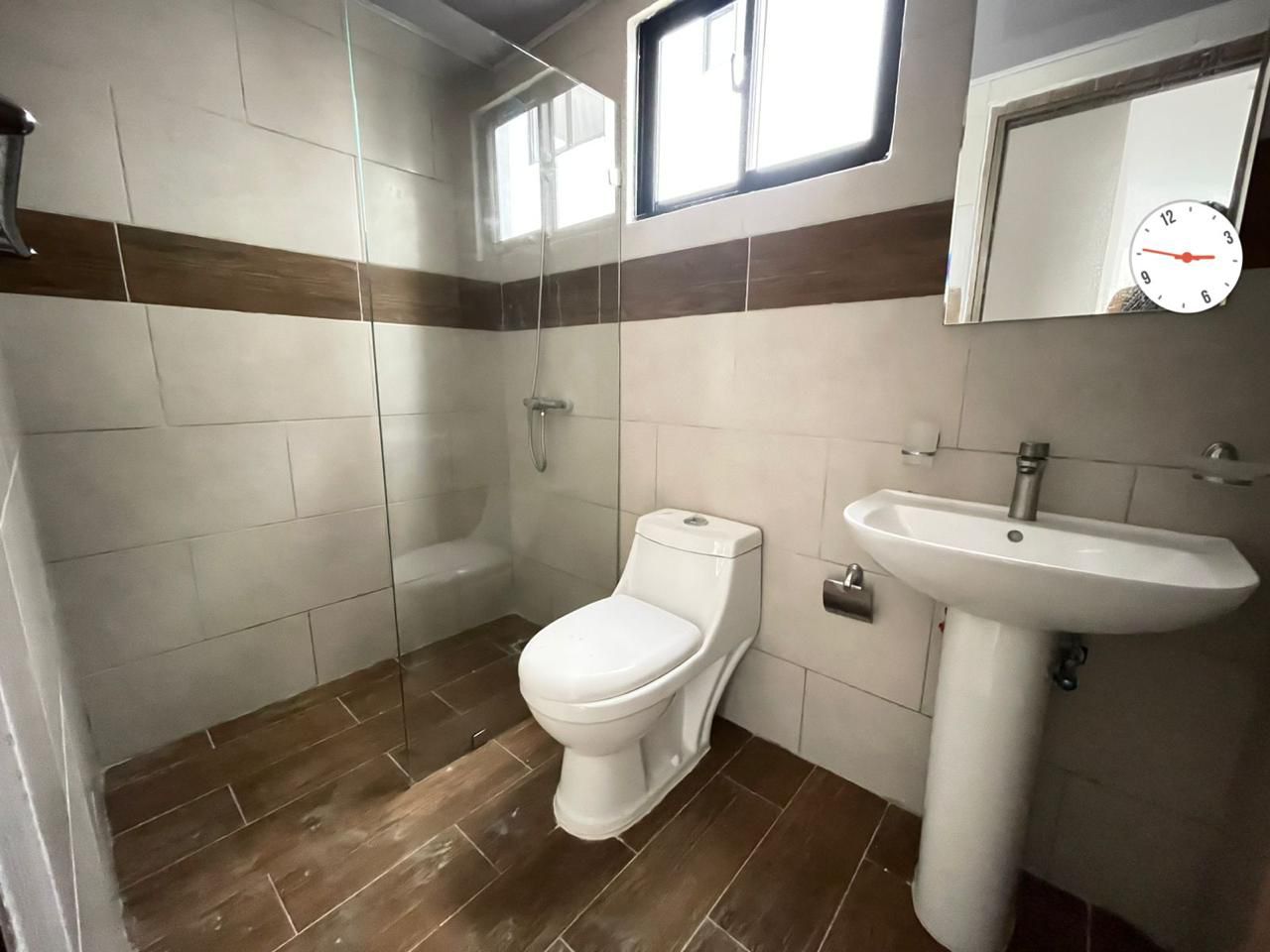 Corales del caribe 5