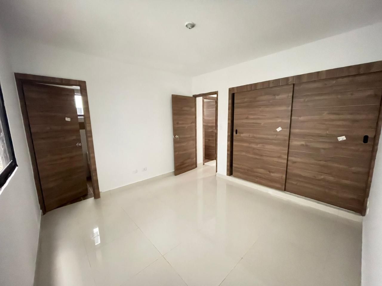 Corales del caribe 3