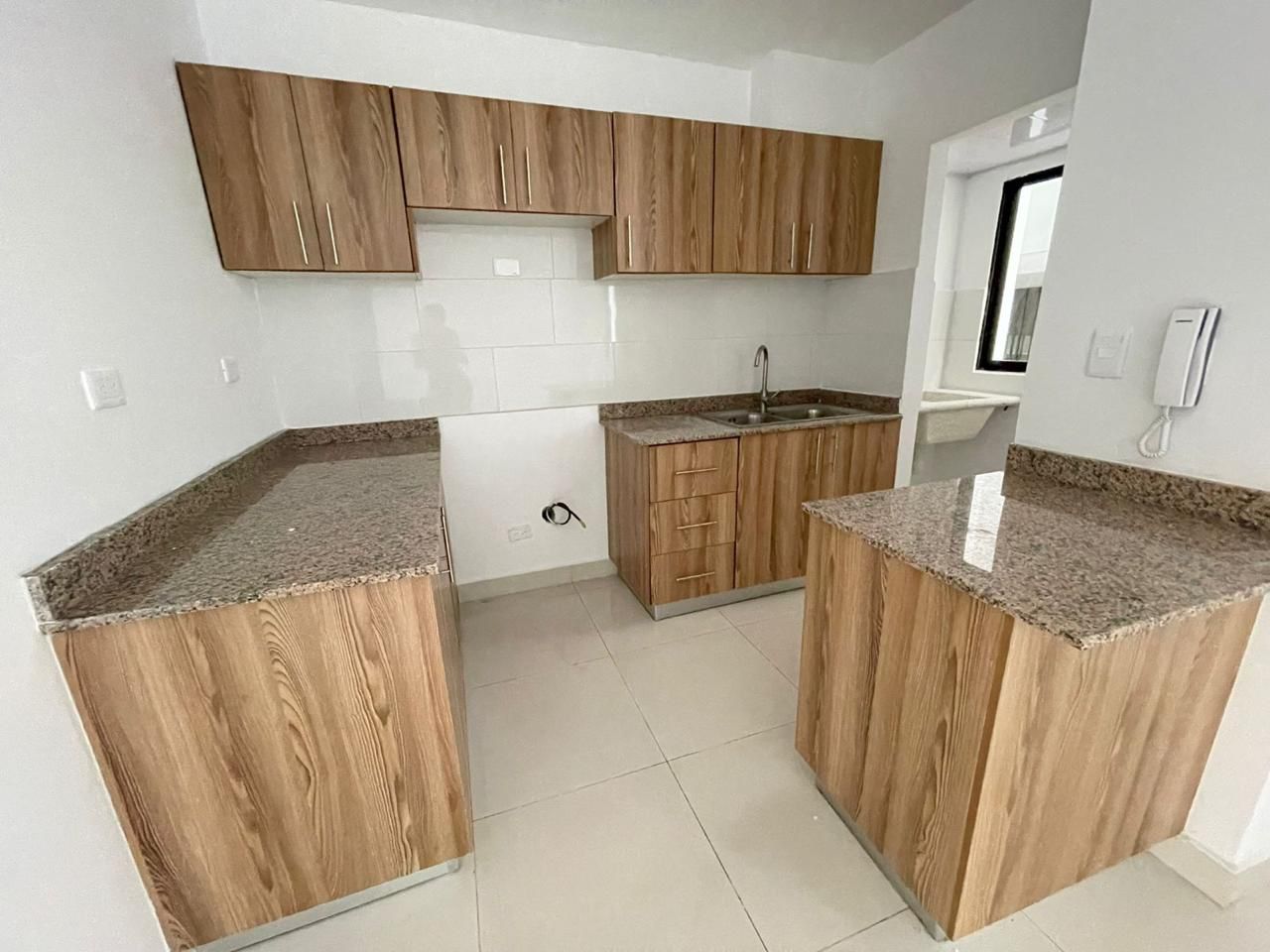 Corales del caribe 6