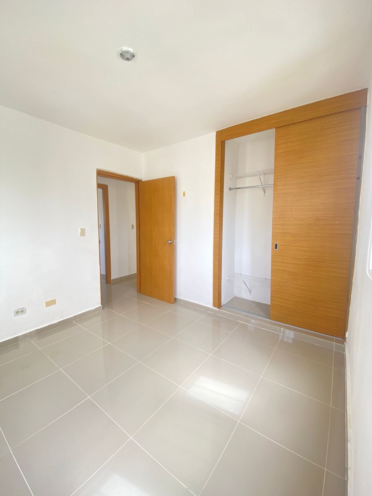 Corales del caribe 14