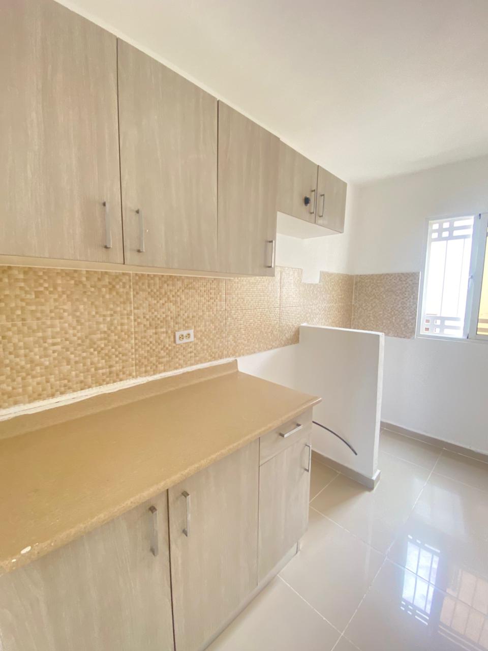 Corales del caribe 12