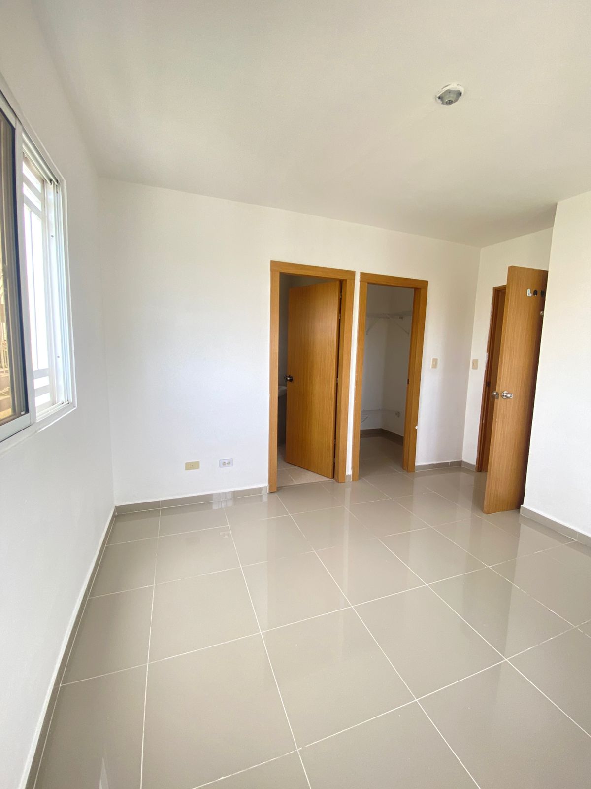 Corales del caribe 15