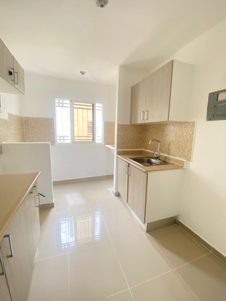 Corales del caribe 18