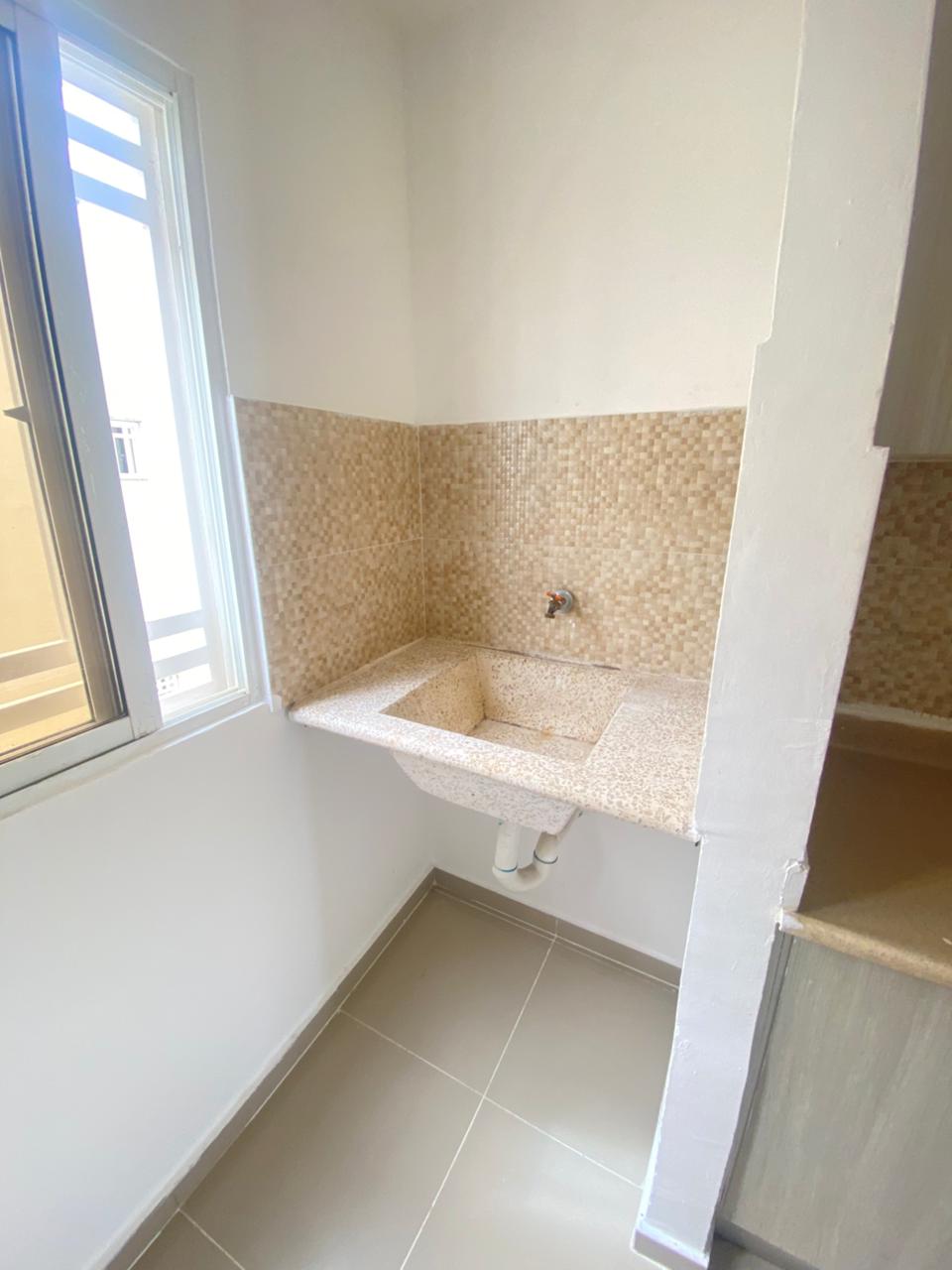 Corales del caribe 17