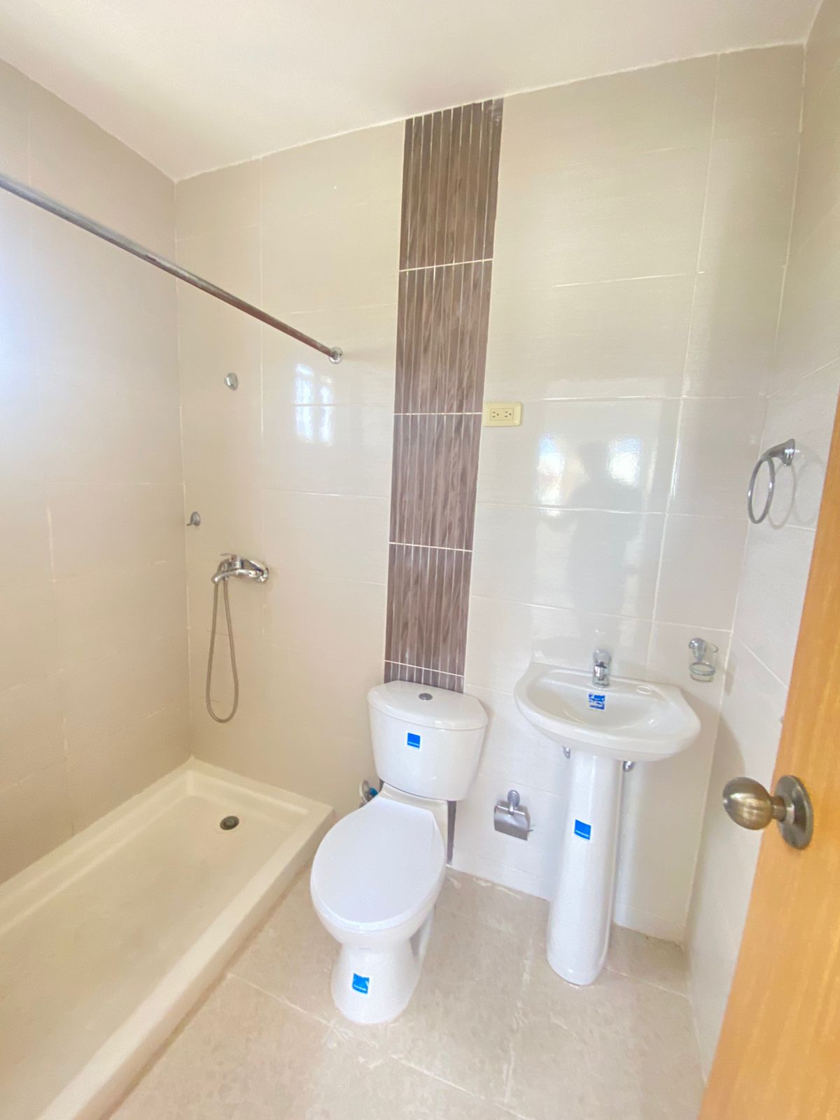 Corales del caribe 19