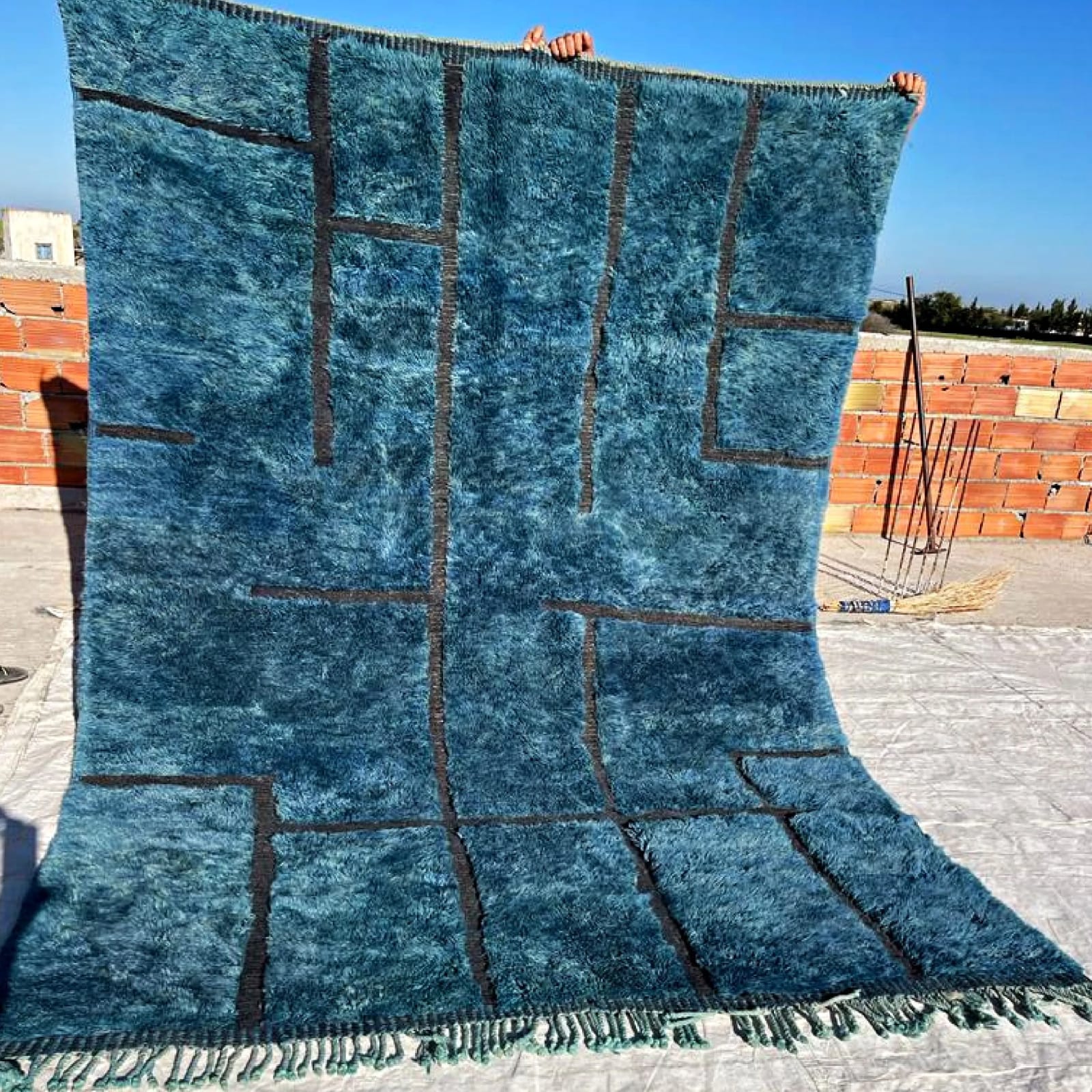 Rugs 1