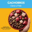 Pedigree Cachorro 1,5 Kg Etapa 1 sabor a Carne y Pollo - Nutrición Completa para el Crecimiento - Miniatura 5
