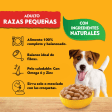 Pedigree Razas Pequeñas Sobre Pollo 100 Gr - Alimento Húmedo con Proteínas para Perros Mini - Miniatura 2