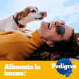 Pedigree Razas Pequeñas 1,5 Kg sabor a Carne y Vegetales - Croquetas Adaptadas con Nutri Defense - Miniatura 5