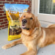 Taste of the Wild High Prairie Canine 2 Kg - Dieta Altamente Digestible con Proteína de Bisonte - Miniatura 7