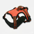 Pechera para Perros Pets Kingdom de Doble Capa Reforzada con Acolchado Transpirable y Sistema de Ajuste Ergonómico para Paseos de Alta Resistencia. - Miniatura 1
