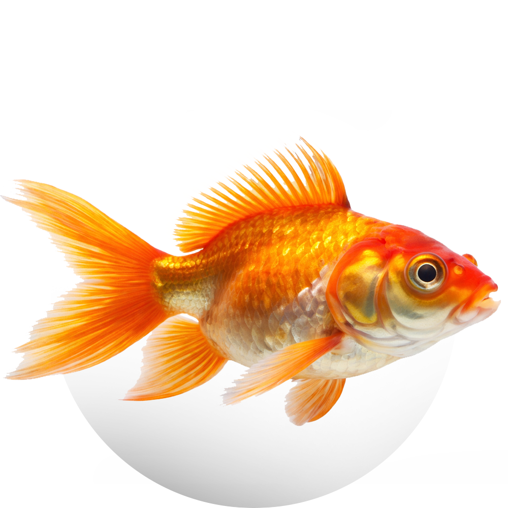 Productos para Peces