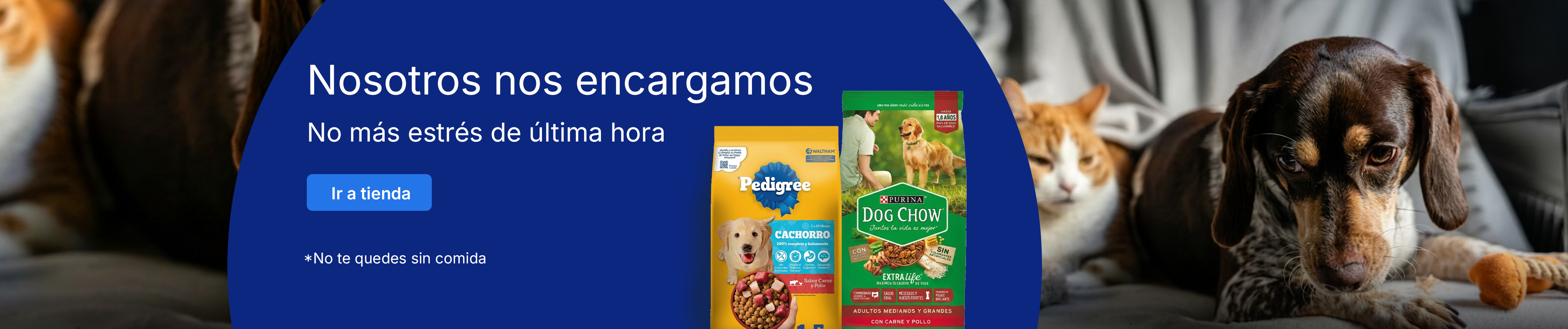 Portada promocional 3 de 5