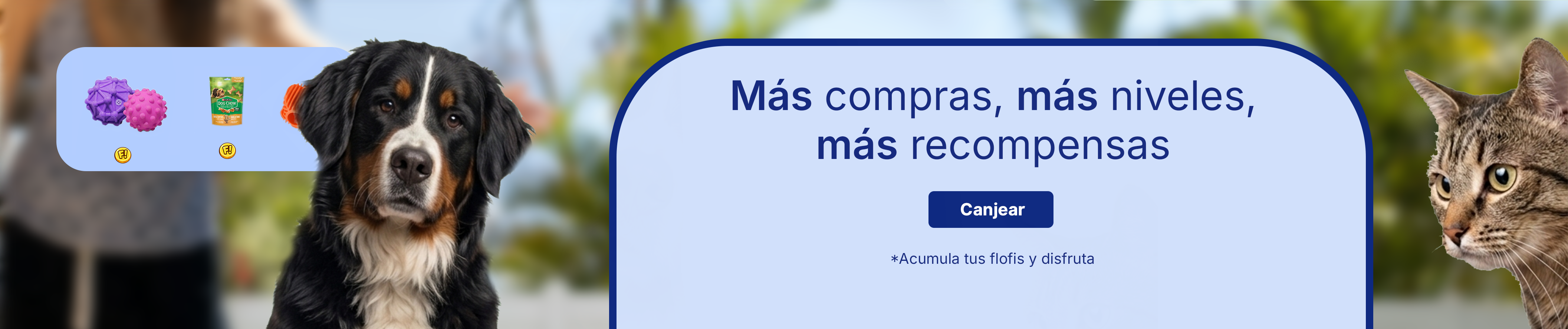 Portada promocional 4 de 5
