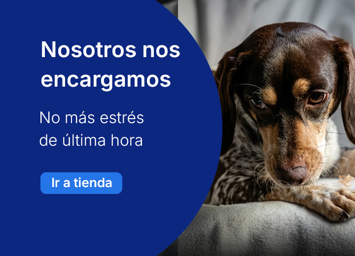 Portada promocional 3 de 5