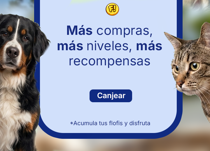 Portada promocional 4 de 5