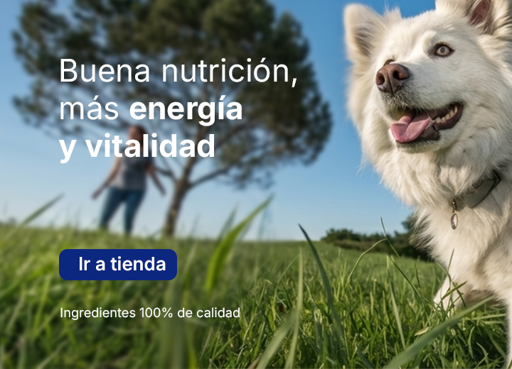 Portada promocional 2 de 5