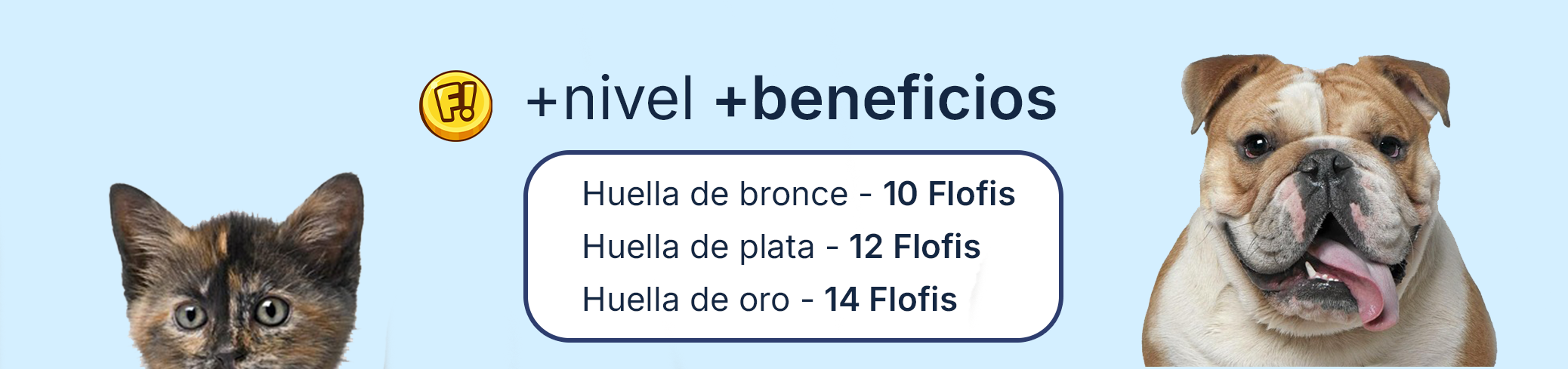 Más nivel, más beneficios en el sistema Flofis