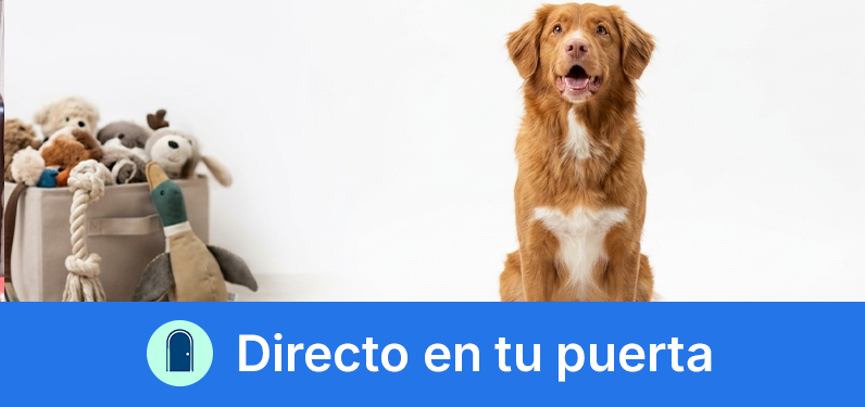 Directo en tu puerta