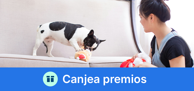 Canjea premios