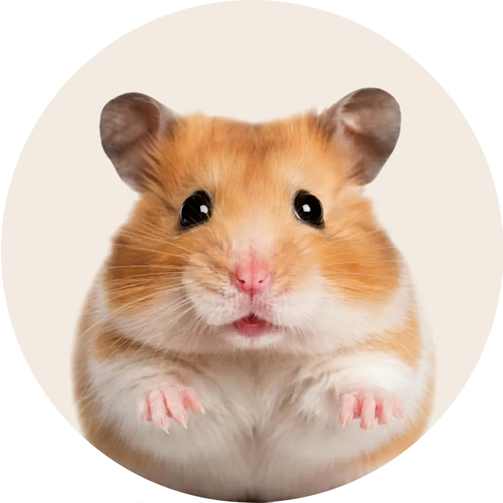 Productos para Hamster