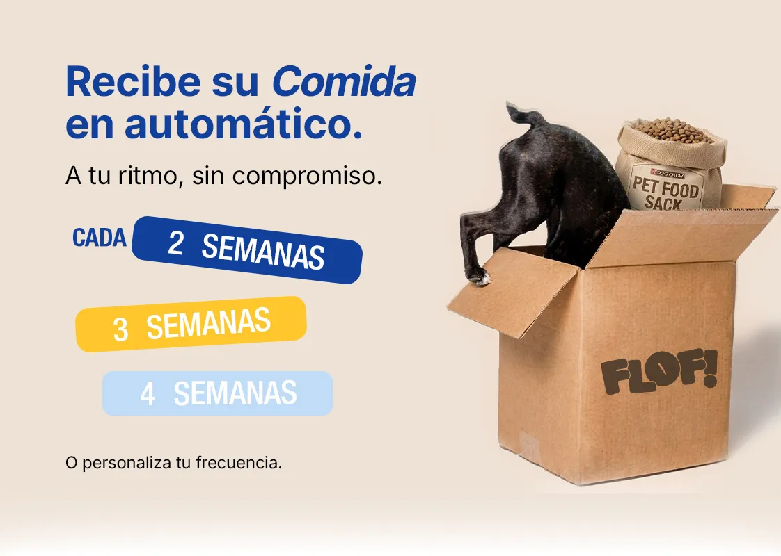 Portada promocional 1 de 2