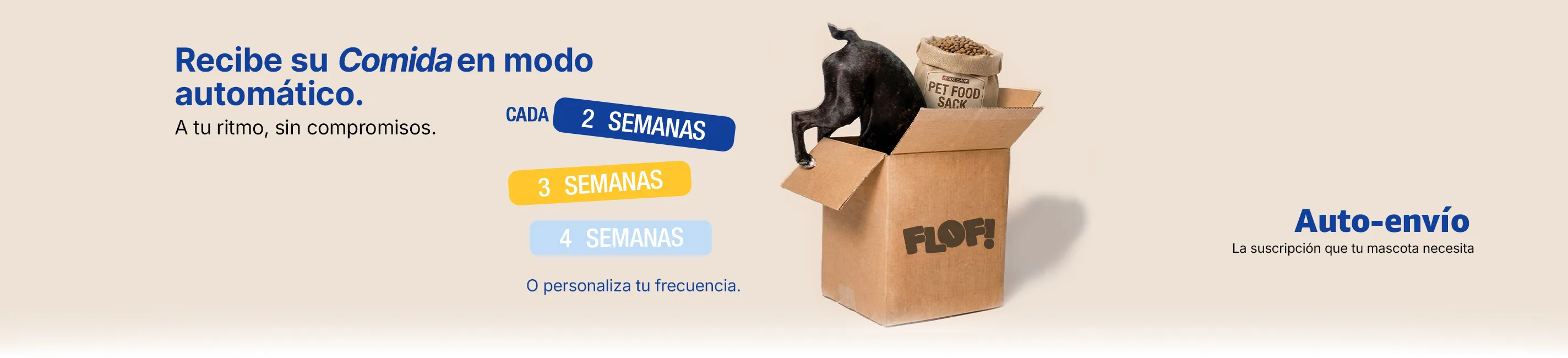 Portada promocional 1 de 2