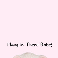 Hang in there Babe!