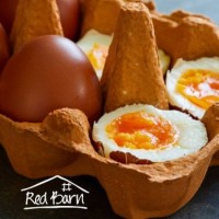 *Free-Range Jumbo Eggs Do...