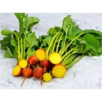 Baby Golden Beetroot 475g