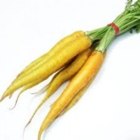 Baby Yellow Carrots 475g