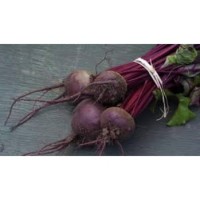 Beetroot bunch