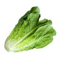 Cos Lettuce Pack 150g