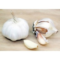 Garlic 3 pack