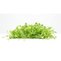 Mix Lettuce Pack 150g