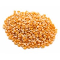 Popcorn 350g