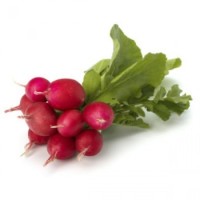 Red Radish Bunch