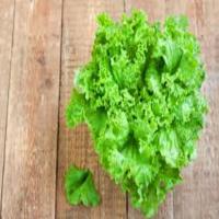 Green Frilly Lettuce Pack...